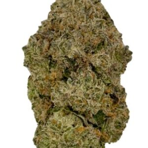 Nightmare Runtz by Ostara Medical - Hybrid Flower, 30% THC 2.5% Terps 3.5 gram